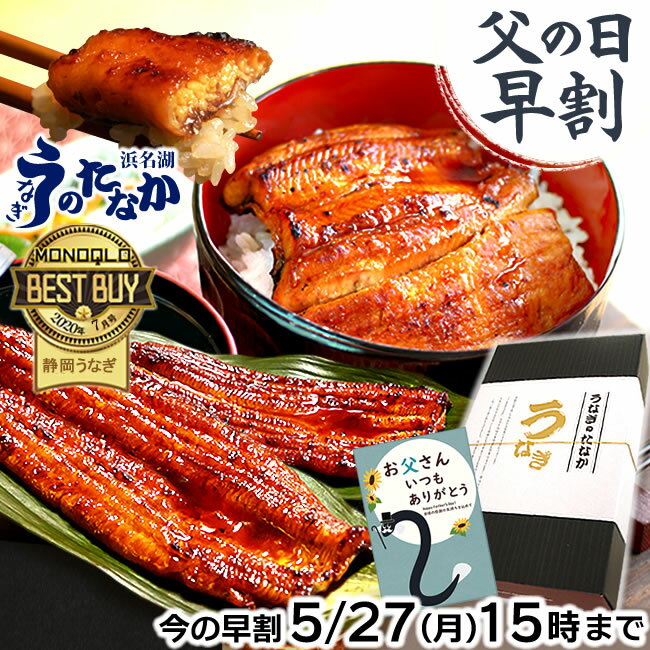 ＼5/27にお値段上がります！／ 父の日 早割 プレゼント うなぎ 国産 蒲焼き ギフト 食べ物 送料無料 鰻 真空パック 食品 グルメ 人気 クーポン 内祝い 誕生日 お祝い 母の日 あす楽 カーネーション造花付 90～110g2本 2尾 【静岡産 通常 AAA 化粧箱】gset [1～2人前]