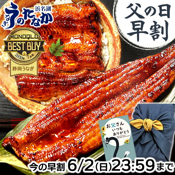 ＼限定★250円クーポン対象！／ 父の日 早割 プレゼント うなぎ 国産 蒲焼き ギフト 食べ物 送料無料 鰻 真空パック 食品 人気 クーポン 内祝い 誕生日 お祝い お中元 御中元 夏ギフト あす楽 特大長蒲焼き1本 1尾 カット蒲焼き2枚 【静岡産 通常 AAA 風呂敷】FA [2～3人前]