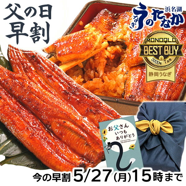 ＼5/27にお値段上がります！／ 父の日 早割 プレゼント うなぎ 国産 蒲焼き ギフト 食べ物 送料無料 鰻 真空パック 食品 人気 クーポン 内祝い 誕生日 お祝い 母の日 あす楽 カーネーション 90～100g 蒲焼き2本 2尾 【静岡産 通常 AAA 風呂敷】 furoshiki-gset [1～2人前]