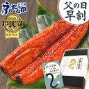 父の日 早割 プレゼント うなぎ 国産 食べ物 送料無料 鰻 蒲焼き 食品 夏ギフト ギフトセット グルメ 人気 90〜110g1本 【静岡産 ABB 化粧箱】...
