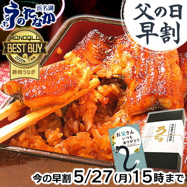 ＼5/27にお値段上がります！／ 父の日 早割 プレゼント うなぎ 国産 蒲焼き ギフト 送料無料 鰻 真空パック 食品 食べ物 グルメ 人気 クーポン 内祝い 誕生日 お祝い 母の日 あす楽 カーネーション造花付き 蒲焼き2枚 【静岡産 通常 AAA 化粧箱】PON-2 1～2人前