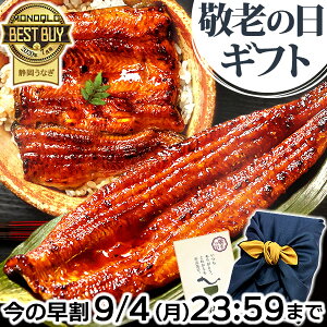 ＼本日限定★ポイント3倍！／ 敬老の日 早割 プレゼント 国産 うなぎ 蒲焼き 内祝い 誕生日 食べ物 送料無料 鰻 メッセージカード ギフトセット 夏ギフト お祝い 食品 グルメ 人気 あす楽 特大長蒲焼き1本 1尾 カット蒲焼き2枚 【静岡産 通常 AAA 風呂敷】FA [2～3人前]