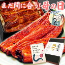 ＼まだ間に合う！／ 母の日 プレゼント うなぎ 父の日 早割 国産 蒲焼き ギフト 送料無料 鰻 真空パック お祝い 食品 食べ物 誕生日 内祝い グルメ 人気 クーポン あす楽 カーネーション造花付 90～110g3本 3尾 【静岡産 通常 AAA 化粧箱】Cset [2～3人前]