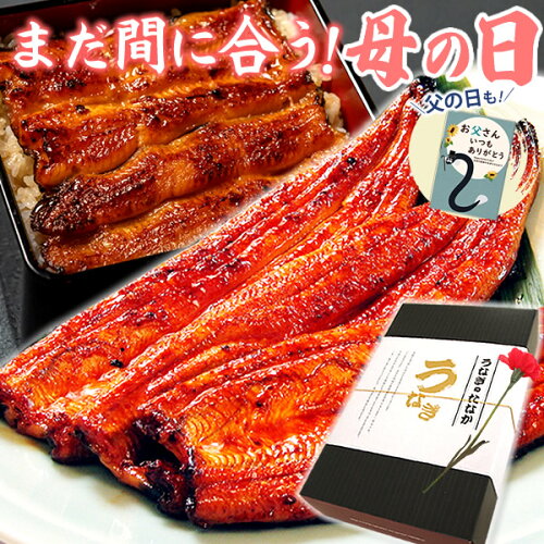 うなぎ 食べ物 国産 鰻 蒲焼き 送料無料 お祝いギフト 誕生日プレゼン...