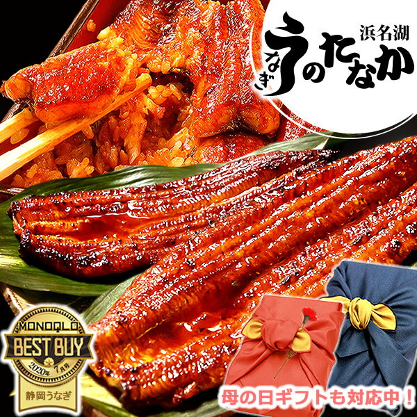 ＼早割！／ 母の日 プレゼント うなぎ 父の日 国産 蒲焼き ギフト 内祝い 誕生日 食べ物 送料無料 鰻 ギフトセット 真空パック お祝い 食品 グルメ 人気 クーポン あす楽 カーネーション造花付 180～200g2本 2尾 【静岡産 通常 AAA 風呂敷】Ftn2 [2～3人前]