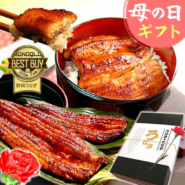 蒲焼き ＼最大200円クーポン！／ 母の日 プレゼント 父の日 早割 うなぎ 国産 蒲焼き ギフト 食べ物 送料無料 鰻 真空パック 食品 グルメ 人気 クーポン カーネーション造花付 90～110g2本 2尾 【静岡産 通常 AAA 化粧箱】gset [1～2人前]