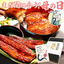 \まだ間に合う!/ 母の日 プレゼント うなぎ 父の日 早割 国産 蒲焼き ギフト 食べ物 送料無料 鰻 真空パック お祝い 食品 グルメ 人気 クーポン ご褒...