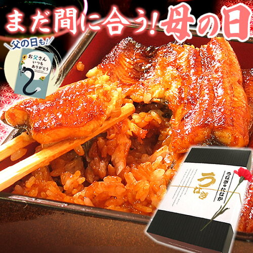 うなぎ 食べ物 国産 鰻 蒲焼き 送料無料 お祝いギフト 誕生日プレゼン...