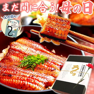 ＼まだ間に合う！／ 母の日 プレゼント うなぎ 父の日 早割 国産 蒲焼き ギフト 内祝い 誕生日 食べ物 送料無料 鰻 真空パック お祝い 食品 グルメ 人気 クーポン あす楽 カーネーション造花付き 85～95g3枚 【静岡産 通常 AAA 化粧箱】Bset [2～3人前]