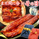 蒲焼き ＼まだ間に合う！／ 母の日 プレゼント まだ間に合う 父の日 早割 うなぎ 国産 蒲焼き ギフト 食べ物 送料無料 鰻 真空パック 食品 人気 クーポン カーネーション造花付き 特大長蒲焼き1本 1尾 カット蒲焼き2枚 【静岡産 通常 AAA 風呂敷】FA [2～3人前]