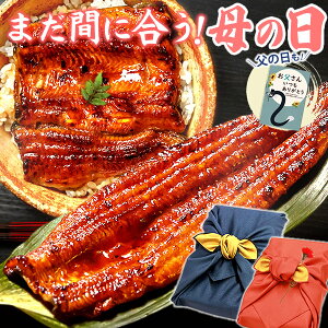 ＼まだ間に合う！／ 母の日 プレゼント うなぎ 父の日 早割 国産 蒲焼き ギフト 内祝い 誕生日 ...