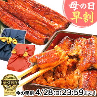 ＼早割ラスト★4/28(日)まで！／ 母の日 プレゼント 父の日 うなぎ 国産 蒲焼き ギ...