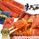 うなぎのたなか うなぎ ＼早割！／ 母の日 プレゼント 早割 うなぎ 父の日 国産 蒲焼き ギフト 内祝い 誕生日 食べ物 送料無料 鰻 真空パック お祝い 食品 人気 クーポン あす楽 カーネーション造花付き 90～100g 蒲焼き2本 2尾 【静岡産 通常 AAA 風呂敷】 furoshiki-gset [1～2人前]