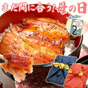 蒲焼き ＼まだ間に合う！／ 母の日 プレゼント うなぎ 父の日 早割 国産 蒲焼き ギフト 内祝い 誕生日 食べ物 送料無料 鰻 真空パック お祝い 食品 グルメ 人気 クーポン あす楽 カーネーション造花付き 85～95g2枚 【静岡産 通常 AAA 風呂敷】furoshiki-pon2 [1～2人前]