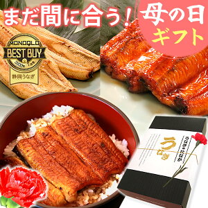 ＼まだ間に合う！／ 母の日 プレゼント 国産 うなぎ 送料無料 鰻 蒲焼き ギフト 真空パック ギフトセット お祝いギフト グルメ 食品 カーネーション造花付き 90〜110g2本 2尾 【静岡産 通常 AAA 化粧箱】gset [1〜2人前]