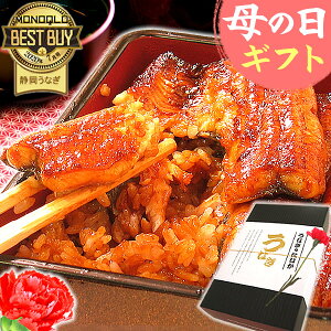 ＼まだ間に合う！／ 母の日 プレゼント 国産 うなぎ 送料無料 鰻 蒲焼き ギフト 真空パック ギフトセット グルメ 食品 カーネーション造花付き 蒲焼き2枚 【静岡産 通常 AAA 化粧箱】PON-2 [1〜2人前]