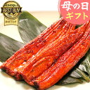 蒲焼き ＼まだ間に合う！／ 母の日 プレゼント うなぎ 父の日 早割 国産 蒲焼き ギフト 誕生日プレゼント 送料無料 鰻 真空パック お祝い 食品 食べ物 誕生日 内祝い グルメ 人気 クーポン あす楽 180～200g1本 1尾【静岡産 AAA 簡易箱】tokudainagakaba [1～2人前]