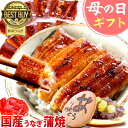 ＼まだ間に合う！／ 母の日 プレゼント うなぎ 父の日 早割 国産 蒲焼き ギフト 誕生日プレゼント 送料無料 鰻 真空パック お祝い 食べ物 誕生日 内祝い 人気 クーポン あす楽 こぶり 55～60g 10枚 どら焼き付き 【静岡産 通常 AA 簡易箱】mc6-10dora 3～5人前