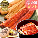 蒲焼き ＼まだ間に合う！／ 母の日 プレゼント うなぎ 父の日 早割 国産 蒲焼き ギフト 誕生日プレゼント 送料無料 鰻 真空パック お祝い 食品 食べ物 誕生日 内祝い 人気 クーポン あす楽 90～110g2本 2尾 どら焼き付き 【静岡産 通常 AA 簡易箱】Gsetdora2 [1～2人前]