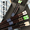 お箸 名入れ 木製 子ども箸 1膳 18cm 紙箱入り キリン ゾウ パンダ 彫刻名入れ