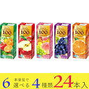 楽天ええもんand敬老の日 ジュース 果汁100％ フルーツセレクション 選べる 24本セット（4種類×6本）