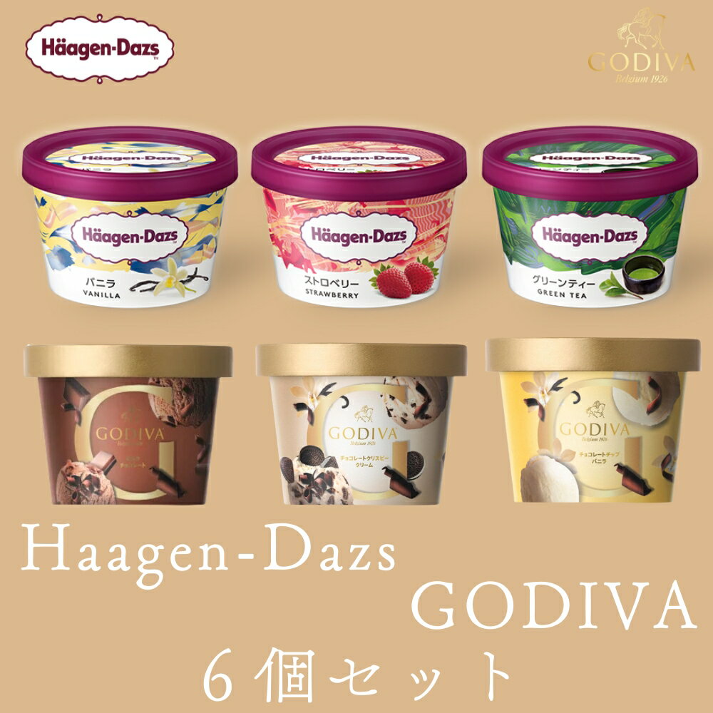 ハーゲンダッツ ゴディバ ミニカップ カップアイス アイスクリーム 人気フレーバー詰め合わせ6個セット
