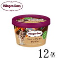 ハーゲンダッツ ミニカップ コーヒークッキーサンデー 12個