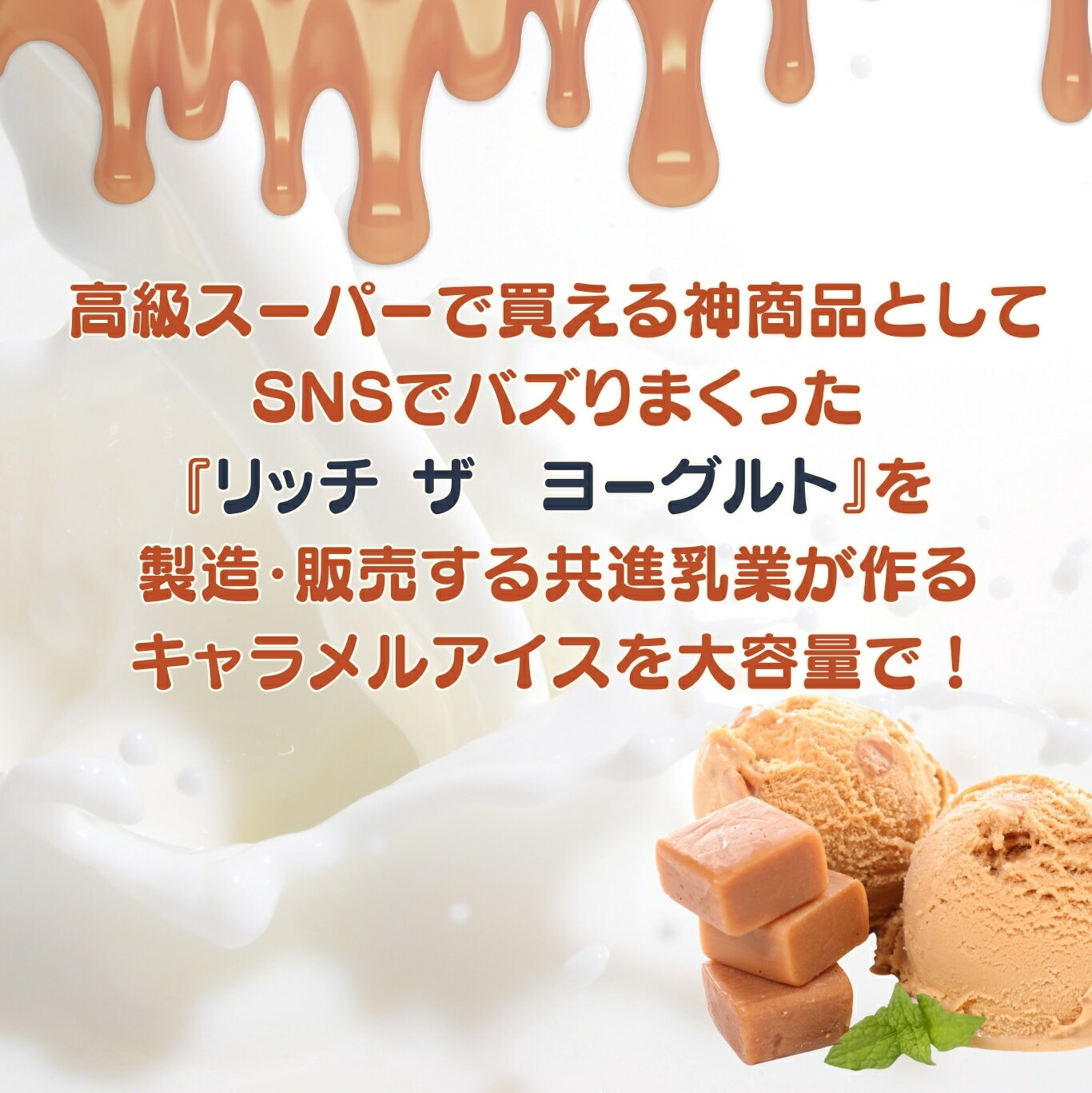 共進乳業 共通アイス キャラメル 2Lの紹介画像3