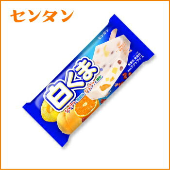 センタン「白くま」