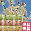 ★贈り物 プレゼント★JA 和歌山 紀州南高梅 敬老の日 ギフト 梅干し【緑茶 茶葉 お茶 日本茶 ギフト 高級 セット】