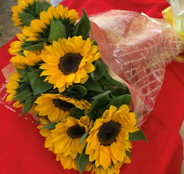 ★ひまわり20本 花 観葉食物★元気なひまわり花束 誕生日 記念日 向日葵 ギフト