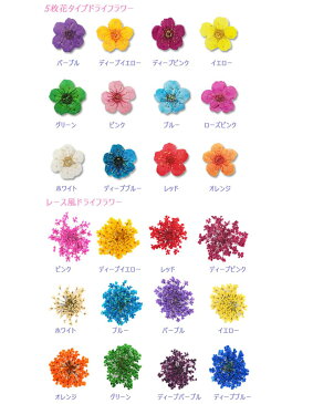 ネイル パーツ 花 押し花 12色セット 収納ケース付き 5枚花 レース花 ジェルネイル レジン デコ