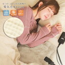 【送料無料】電気毛布 掛け敷き 兼用 洗える ダニ退治 電気ひざ掛け 電気ブランケット ひざ掛け 140×80 タイマー スライド温度調節 省エネ 洗濯 自動電...