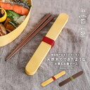 【P5倍】箸 おはし ケース 箸箱 セット ケース付き ワッパシリーズ 弁当 お弁当 お弁当用 カトラリー お箸セット 食洗機対応 抗菌 抗菌加工 滑り止め 日...
