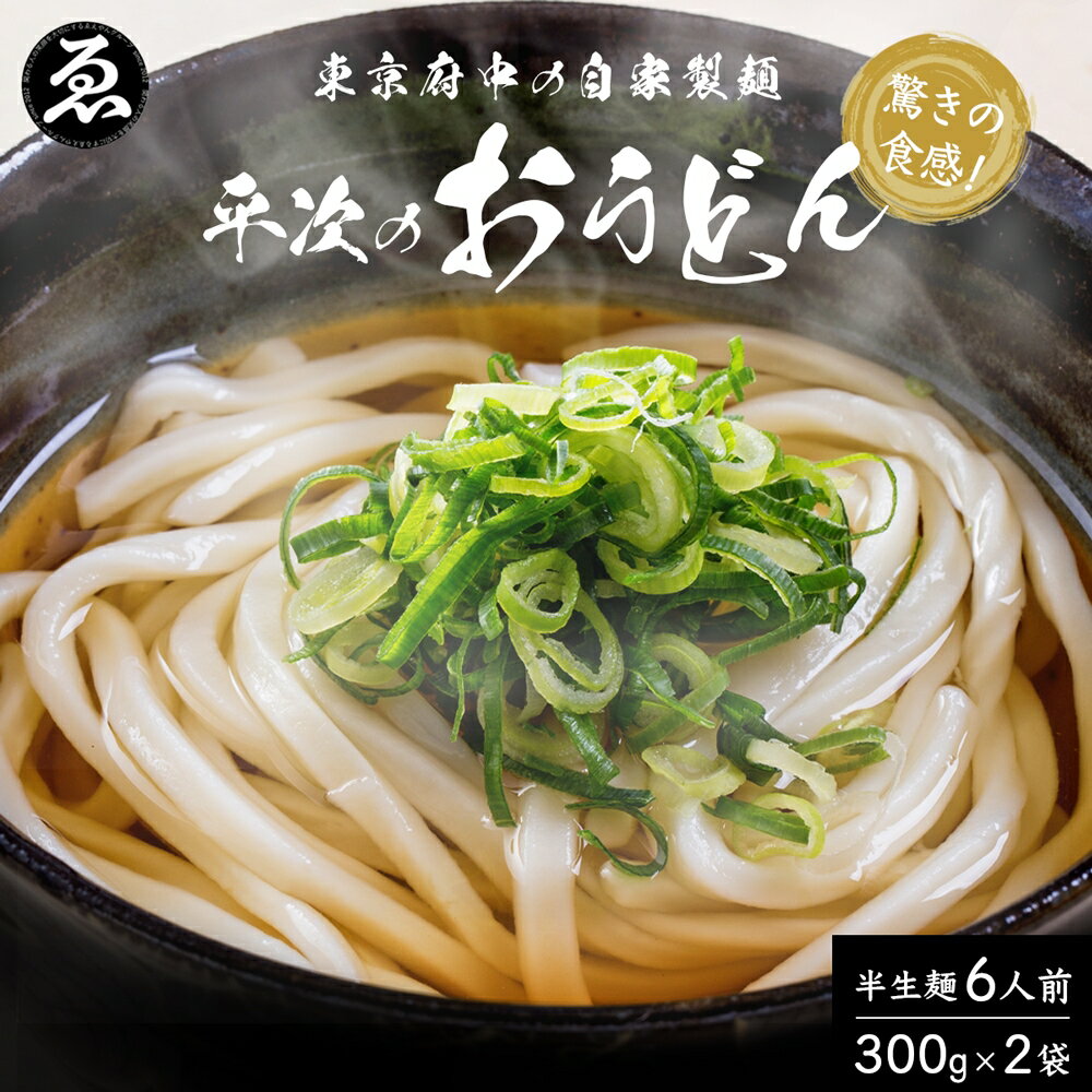 うどん ゑえやん商店 平次のおうどん 300g × 2袋 自家製麺 常温 半生 ギフト