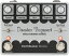 EarthQuaker Devices Disaster Transport Legacy Reissue [¹͢][ľ͢]ڥǥХۡڿʡ