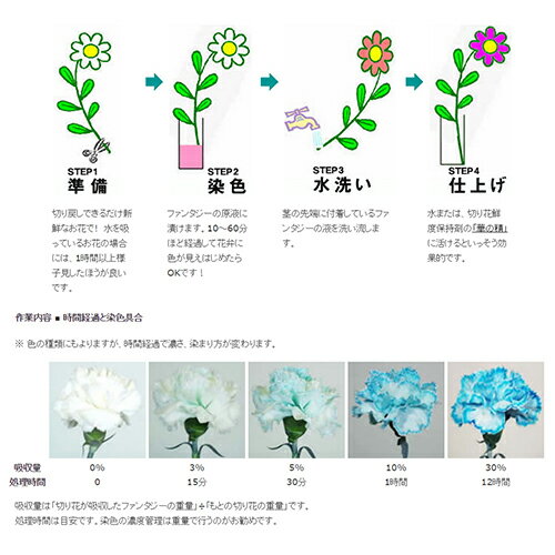 花を染める方法 花の色を変えて楽しもう ファンタジー Flower In Space