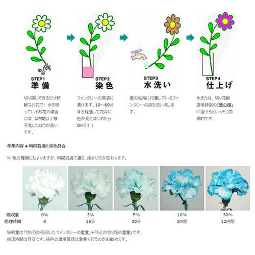 パレス化学 切花着色剤ファンタジー 100ml モカ 切り花 着色 レインボー フラワー アレンジ 切り花着色剤 植物 染色 染色液 園芸 観葉植物 ガーデニング プリザーブド ドライフラワー 押し花 手作り DIY ワークショップ ハーバリウム 染める 自由研究 実験 パレス化 Z 2