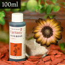 パレス化学 切花着色剤ファンタジー 100ml セピア 切り花 着色 レインボー フラワー アレンジ 切り花着色剤 植物 染色 染色液 園芸 観葉植物 ガーデニ...
