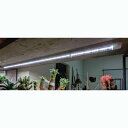 ApLEDCg PlantsNEXLIGHT TUBE F 2{ NL-T8-28-RW12/W ϗtA |   v    _ _ _