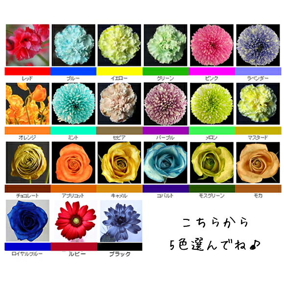 花を染める方法 花の色を変えて楽しもう ファンタジー Flower In Space