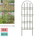 トレリス・フェンス クラシック2P L No.182 幅38×高さ130cm 2枚組 日本製 GREENGARDEN グリーンガーデン 小林金物 フェンス ガーデニング 園芸 花 フラワーアレンジ ローズ 薔薇 蔦 国産 小KD その1