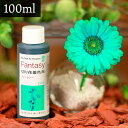 パレス化学 切花着色剤ファンタジー 100ml ミント 切り花 着色 レインボー フラワー アレンジ 切り花着色剤 植物 染色 染色液 園芸 観葉植物 ガーデニング プリザーブド ドライフラワー 押し花 手作り DIY ワークショップ ハーバリウム 染める 自由研究 実験 パレス化 Z