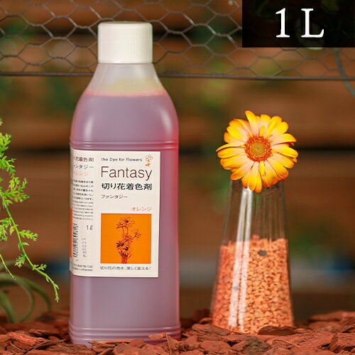 パレス化学 切花着色剤ファンタジー 1L オレンジ 茎 生花 ディスプレイ デコレーション フラワーアレン..