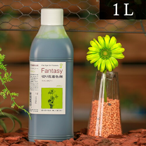 パレス化学 切花着色剤ファンタジー 1L メロン 茎 生花 ディスプレイ デコレーション フラワーアレンジ 植物 染色 染色液 園芸 ガーデニング 自由研究 実験 プリザーブド 手作り DIY インテリア ハーバリウム 染める パレス化 Z