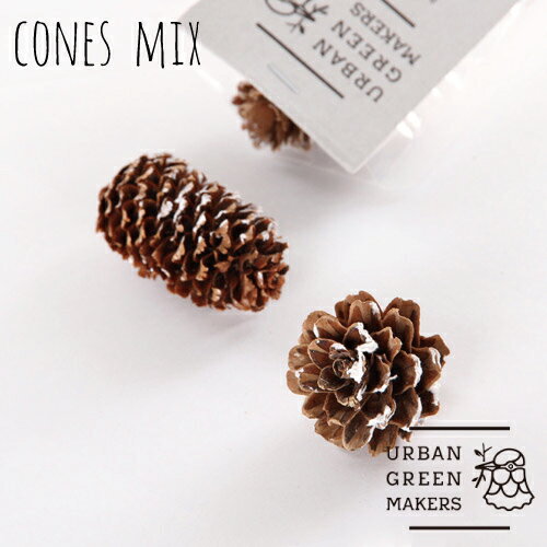 URBAN GREEN MAKERS コーンミックス ホワイト アーバングリーンメーカーズ 松ぼっくり テラリウム カス..