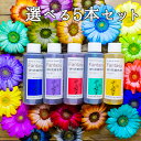 切花着色剤ファンタジー 100ml お得な選べる5本セット パレス化学 染色剤 生花 切り花 着色 切り花着色剤 レインボー フラワー アレンジ 植物 染色 染色液 加工液 園芸 観葉植物 ガーデニング プリザーブド ドライフラワー 押し花 手作り 染める パレス化 代引不可