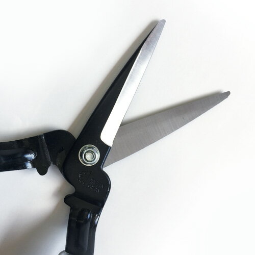 �ߥ� ������ DS001 ��Ĺ100mm ������ SHOZO �ɥ����� ƻ�� �ϥ��� �����ǥ˥� �� ��� ������ ���� �Ǵ��� �Ϥ��� �Ǵ��� �Ǵ��Ϥ��� �Ǵ��ϥ��� ���� ��ǥ����� ������� ����� ����D