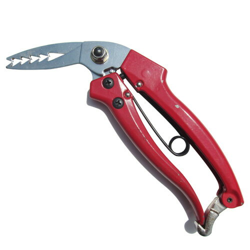 �������� ���Ҥä��� No.606 �Ȳ���ʪ ������ ��ȴ�� ������ ���� ȴ�� ƻ�� ���� �����к� ������ ���� ����� ���󥯥꡼�� ����D