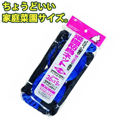 菜園防鳥ネット 3.6m×9.0m ブルー 家庭菜園サイズ3cm菱目 ロープ入 防蝶 防鳥網 防鳥ネット 鳥害 対策 防止 鳥よけ 庭 ガーデニング 家庭菜園 園芸 金TD